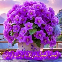 خط موبایل