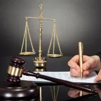 تنظیم انواع دادخواست، شکواییه و لایحه تخصصی