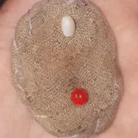 مهره اصل قدیمی