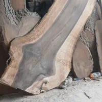 اسلب گردو