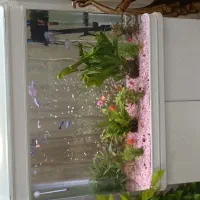 فروش آکواریوم با میز دو در با تمام تجهیزاتش