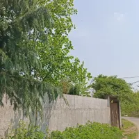 زمین مسکونی 215متر با کنتور برق دور دیوار|فروش زمین و ملک کلنگی|رشت, سیا اسطلخ|دیوار