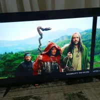 تلویزیون هاورسن