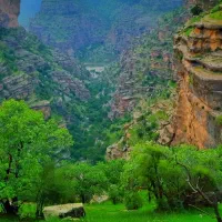 تور ۴روزه لرستان  هتل  ۴وعده  گشت  اقساطی