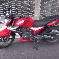 موتور بنلی تک برگ سند