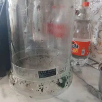 شیشه تراریوم
