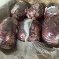 گوشت گوساله ایرانی