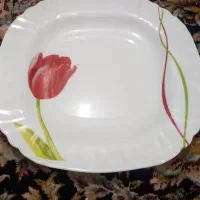 سرویش ارکوپال ۵۰۰ سالم نو