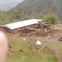 گاوداری|فروش دفتر صنعتی، کشاورزی، تجاری|پاپی, |دیوار