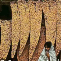 جواز نانوایی  سنگکی نوع یک /ده کیسه در روز/
