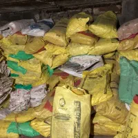 فروش کیسه دان در تعداد بالا