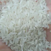 برنج