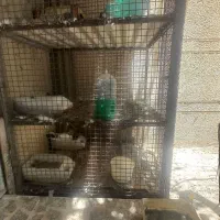جفت کن پرنده جنس آهن ،سنگین و مقاوم