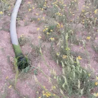 لوله خرطومی ۳ اینچ ۵ متری