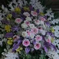 تاج گل