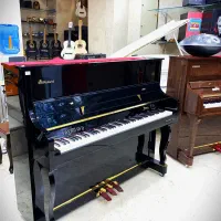 پیانو طرح آکوستیک دیواری roland FP30X