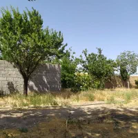 باغچه وسط روستا