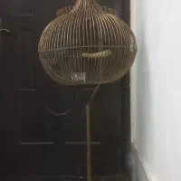 قفس