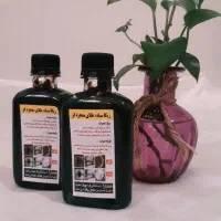 ریکا سیاه درجه یک
