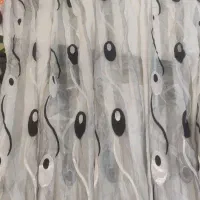 پرده
