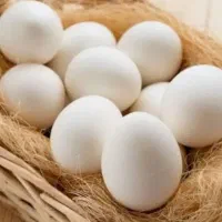 تخم مرغ شونه ای ۴۲۰