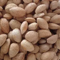 ۱۰ کیلو بادام شیرین کیلویی ۳۵۰ تومان