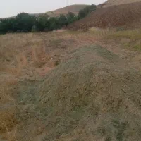الف|لوازم جانبی حیوانات|کامیاران, |دیوار
