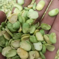 باقله|خوردنی و آشامیدنی|بروجرد, |دیوار