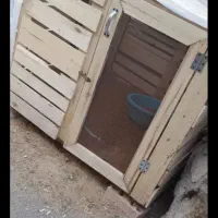 قفس مرغ و جوجه