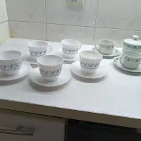 فنجان ارکوپال وچینی
