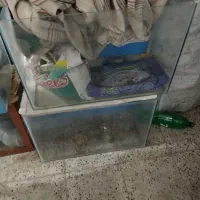اکواریوم ۳۰ در ۶۰ ارتفاع ۴۰