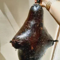 دوعدد هیزه