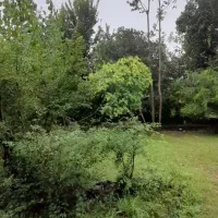 فروش زمین باغی و کشاورزی در جاده سنگر