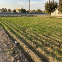 فروش زمین کشاورزی