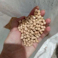نخود فلافلی اعلا