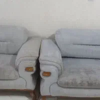 قالی/فرش/مبل/موکت/تابلو در محل کار و منزل