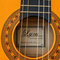 گیتار کلاسیک آمریکا (Lyra Professional)