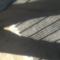 لباس پسرانه و مردانه