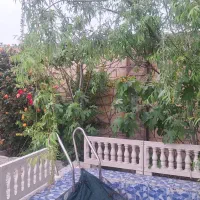 ملک شخصی ویلایی تک برگ سندعرصه واعیان