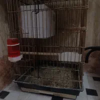 فروش ۳۰۰۰۰۰۰تومان
