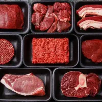 استخدام قصاب و بی خس کار حرفه ای گوسفندی