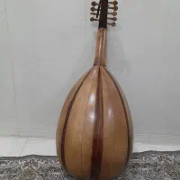 عود مصری