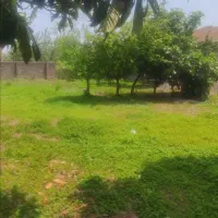 فروش زمین  باغی چسب بافت مسکونی رشت/ خمام/ انزلی