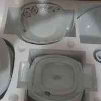 ظروف چینی