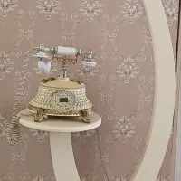 ساعت ایستاده با گوشی