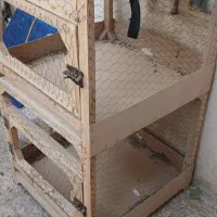 قفس