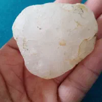 راف کوارتز
