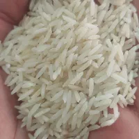 برنج هاشمی درجه یک گیلان آستانه اشرفیه