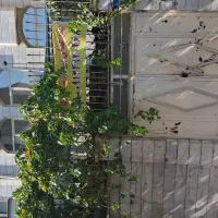 اجاره ملک ویلایی دربست