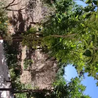 باغ ۷۰۰ متری قلعه سفید شمالی معاوضه با نجف‌آباد